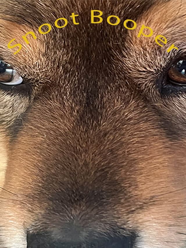 Snoot Booper